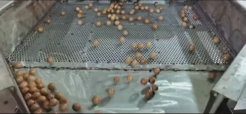 Noci di Macadamia al Gusto Vaniglia - Origine Cina - Cartone 5 Kg - Calibro 25