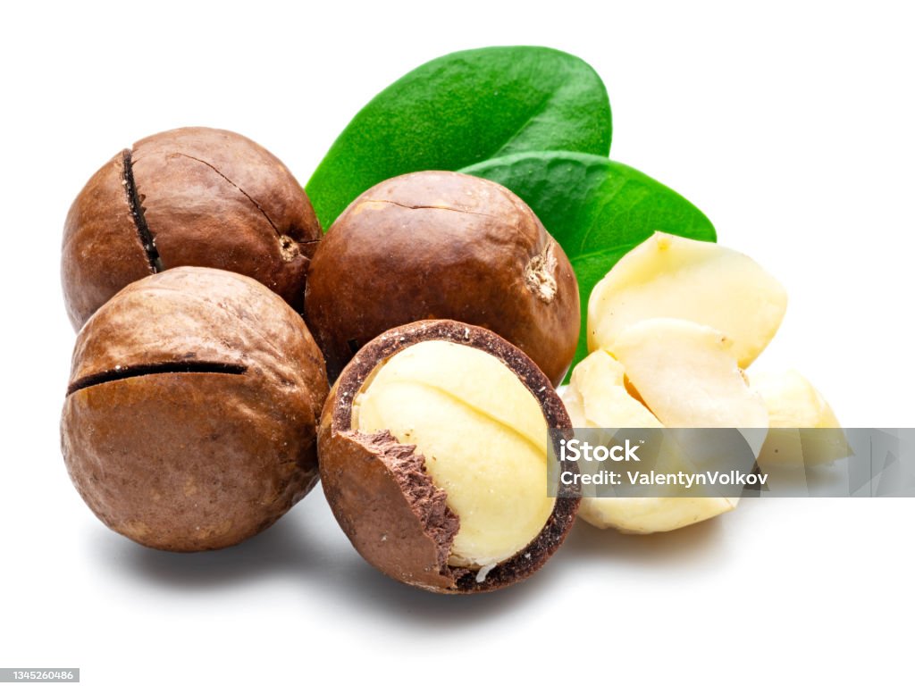 Noci di Macadamia Premium - ZIZOFOOD