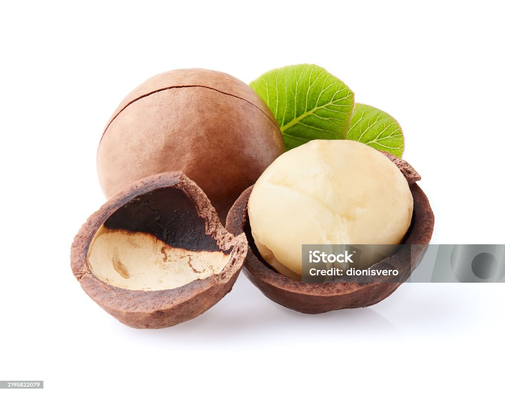 Noci di Macadamia Premium - ZIZOFOOD
